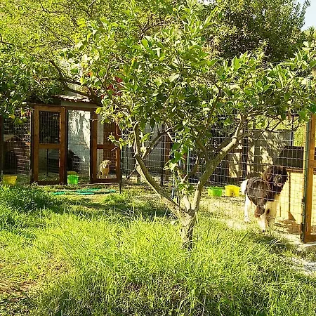 Villaggio Lido San Giuseppe 4* Briatico