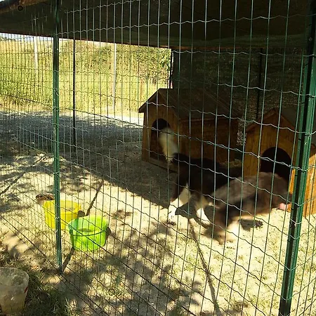 Villaggio Lido San Giuseppe מלון