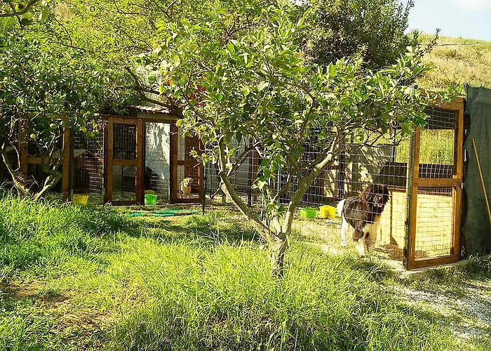 Villaggio Lido San Giuseppe 4* Briatico